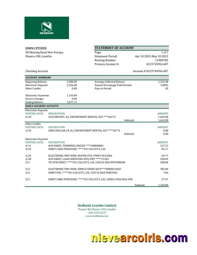 Lesotho Nedbaank statement